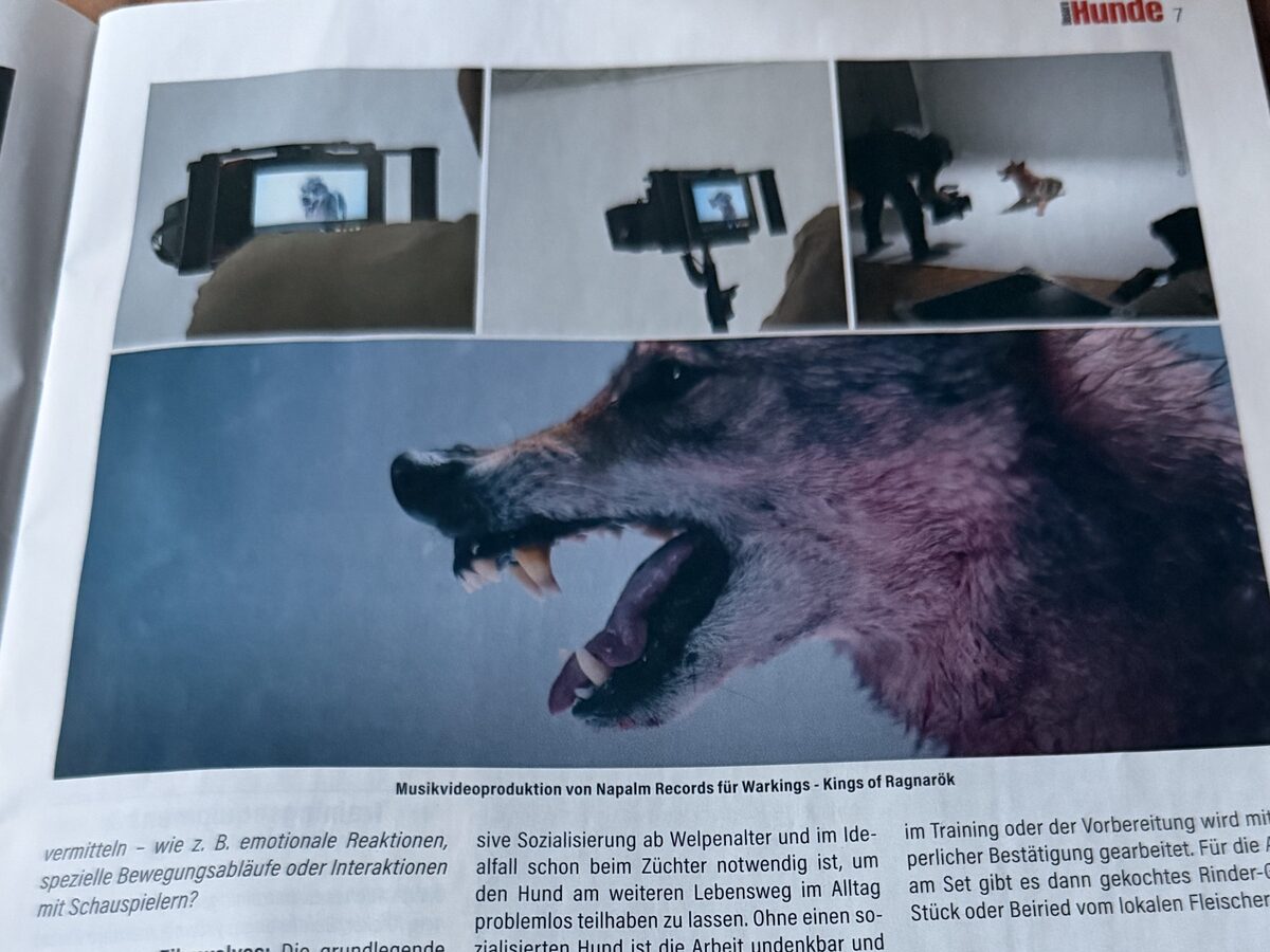 Aufgeschlagenes Heft ÖKV Hunde mit dem Beitrag über die Lunar Lupus Filmwolves